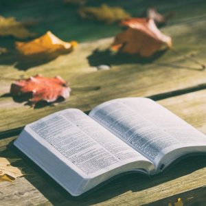 Pew Notes And Bible Readings For Sunday 27th October